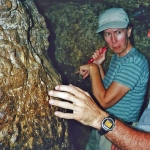 itw_into_hezekiahs_tunnel