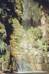itw_living_water_en_gedi